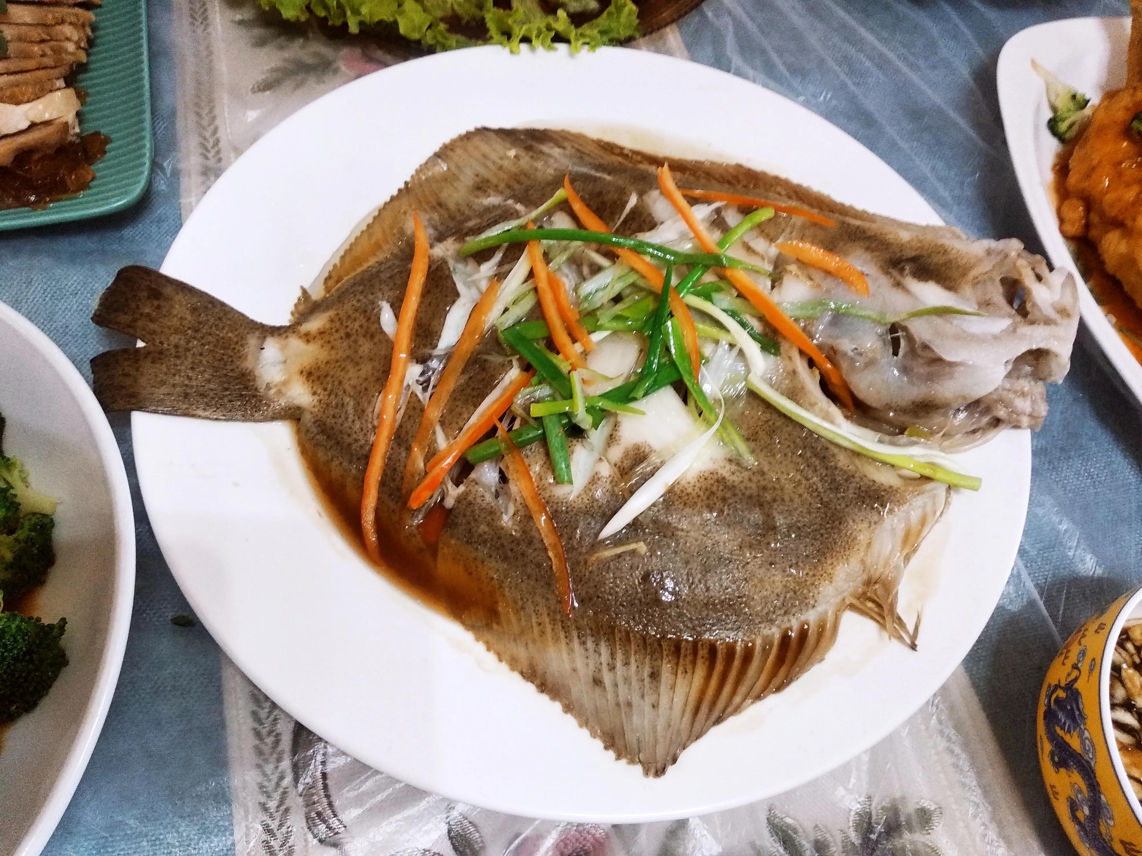 15种常见的海鱼,100种常见食用海鱼图谱