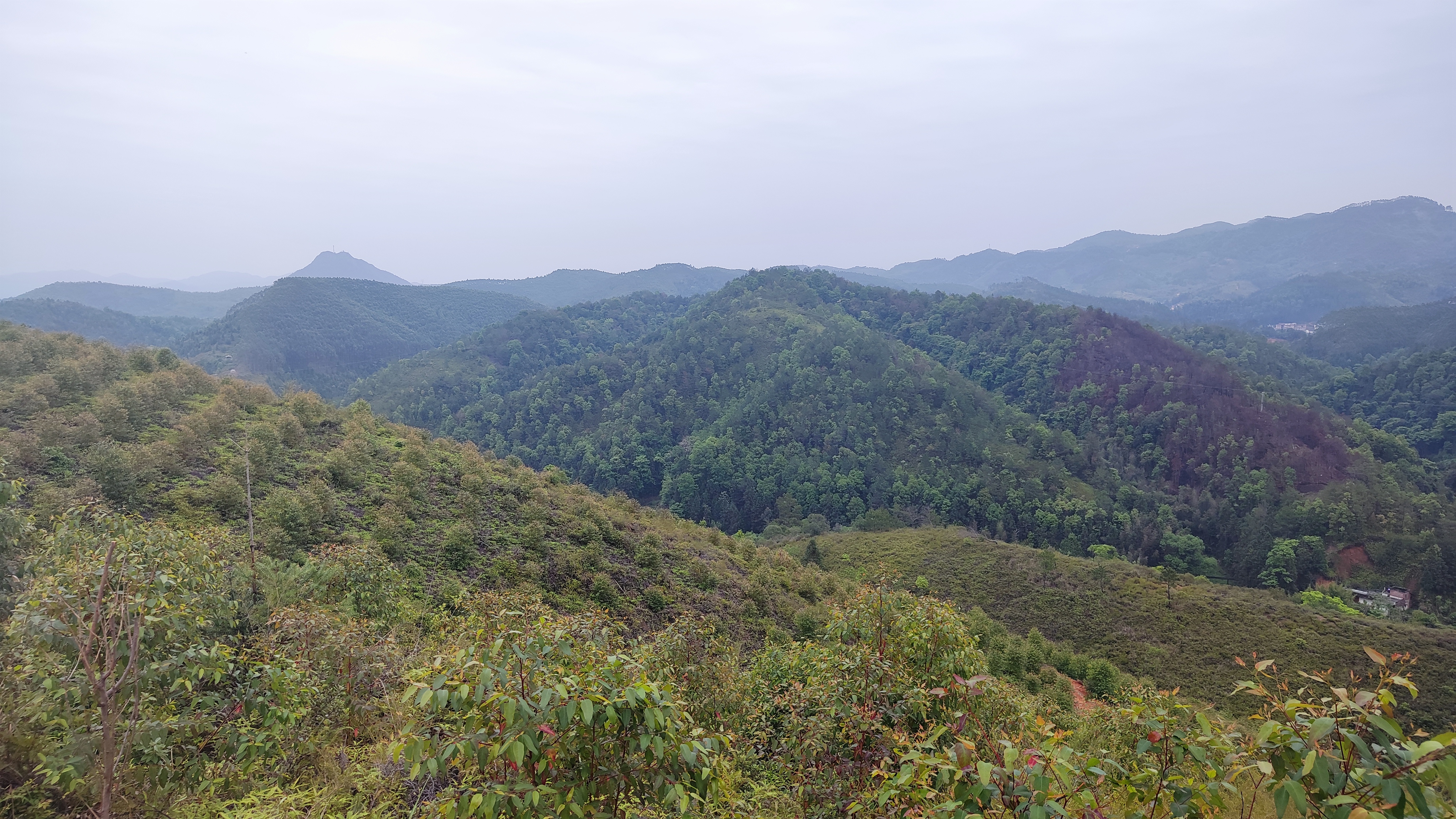 饮水思源的水是什么水,饮水思源的源怎么写