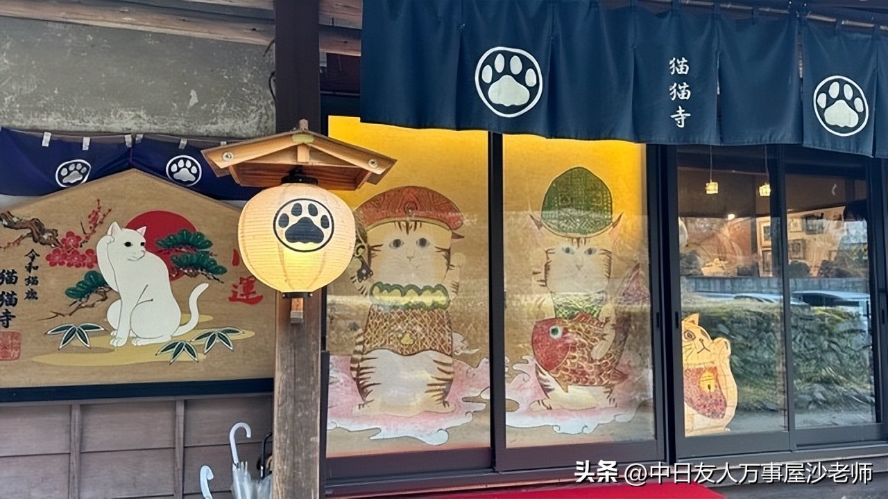 成都境内的猫咪打卡圣地,爱猫人士必去的十大景点