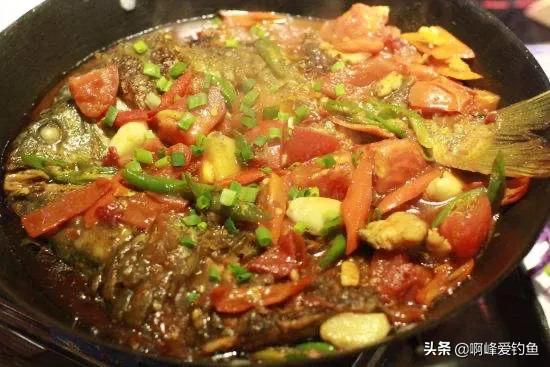 鲤鱼不同的品种食性差别,鲤鱼的种类和区别