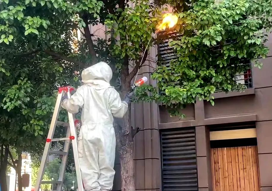 注意！170余起！它们又来了！