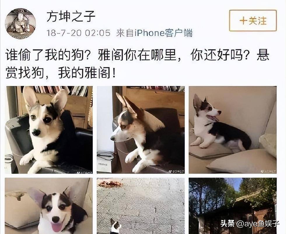 袁立郭京飞,郭京飞和袁立