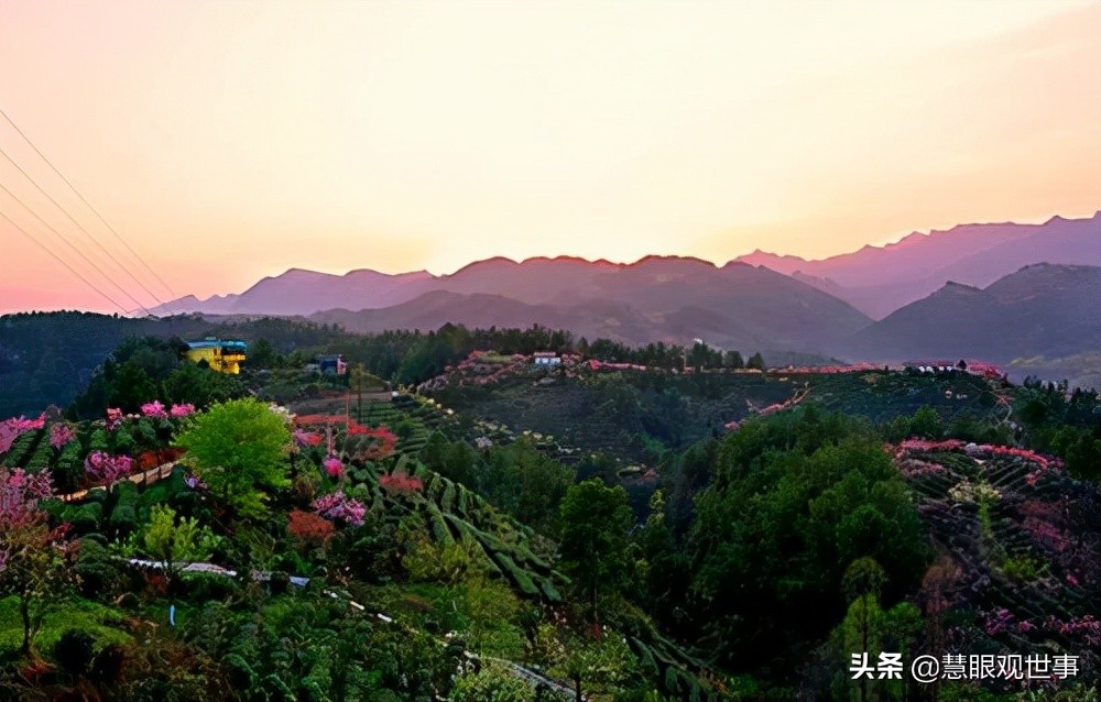 侯海洋基层风云全文免费阅读,侯海洋基层风云完整版免费听