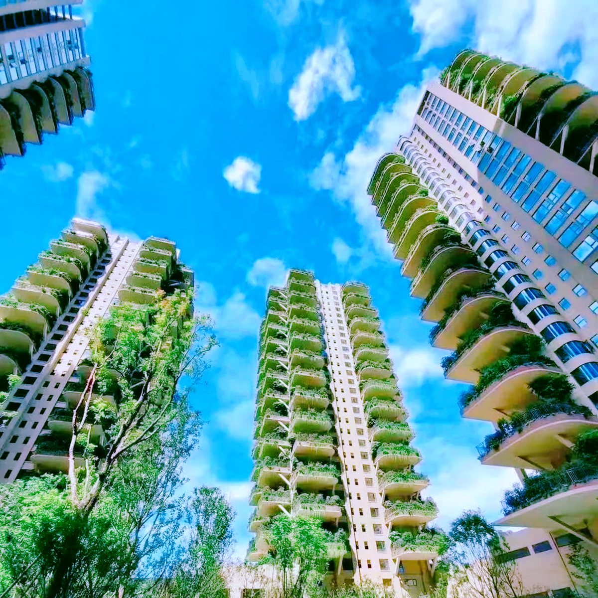 成都第四代住宅空中花园真实现状,成都最好的四代住宅