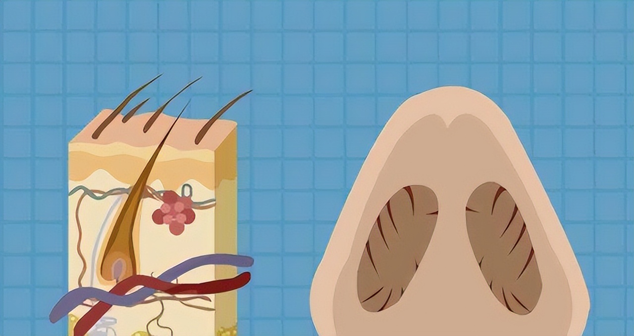 男士鼻毛变白的原因是什么呢,男性的鼻毛旺盛说明了啥