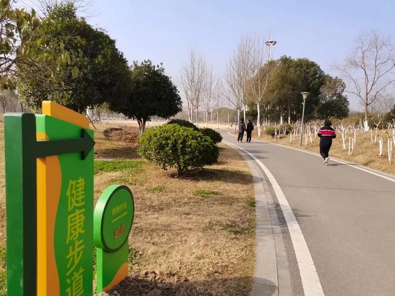城区健康主题公园增至6座,健康主题公园创建简介