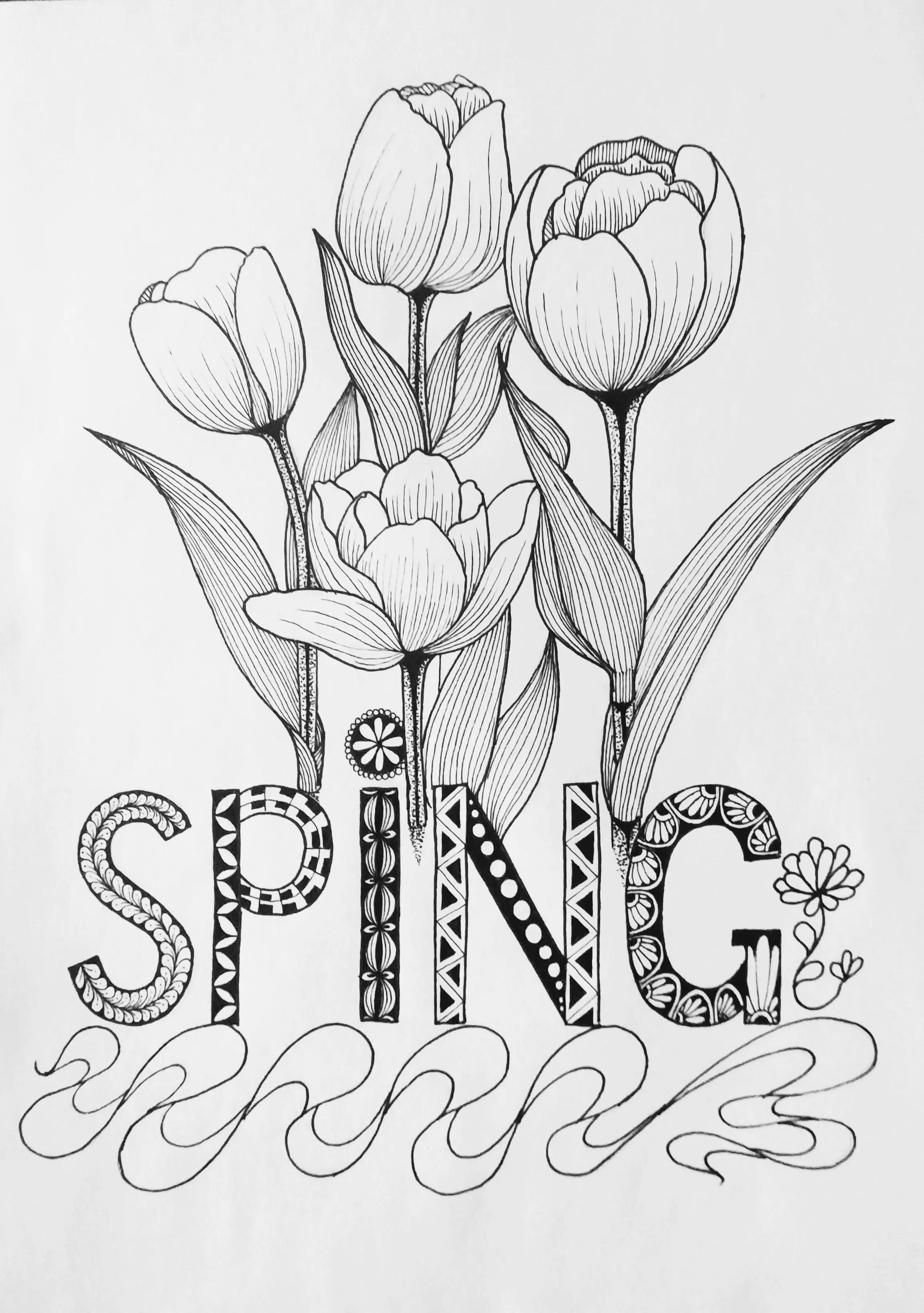 春天的郁金香绘画图片,线描画花朵简单又漂亮郁金香