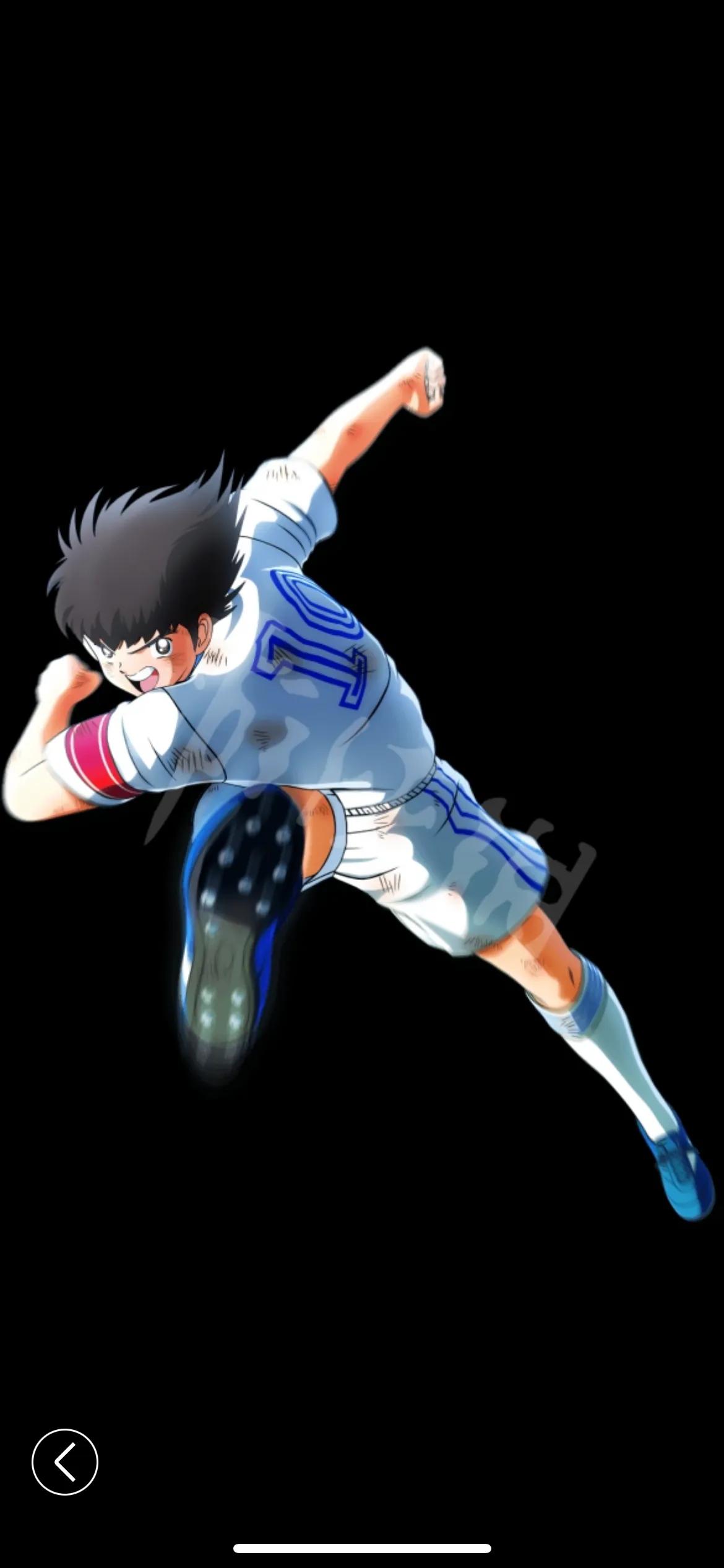 大空翼是什么意思,大空翼是什么类型的