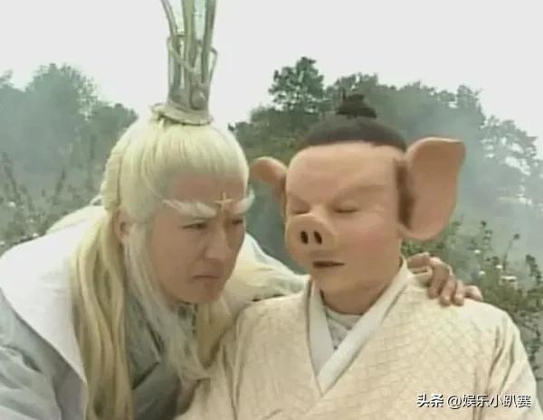 春光灿烂猪八戒对徐峥后来的影响,春光灿烂猪八戒徐峥都不知道会火