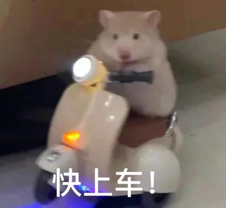 小长假旅游景点大全,夏季周边旅游美食之旅