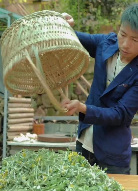 网红帅农鸟哥视频,黑马帅农鸟哥是如何走红的