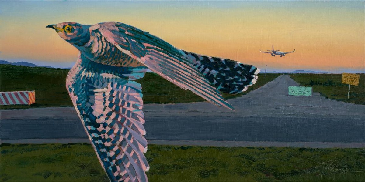 风景后期图片,风景后期