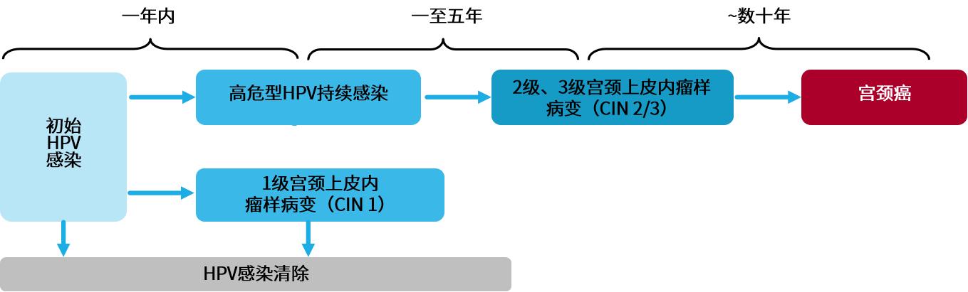 sanger测序仪评测,sanger测序仪