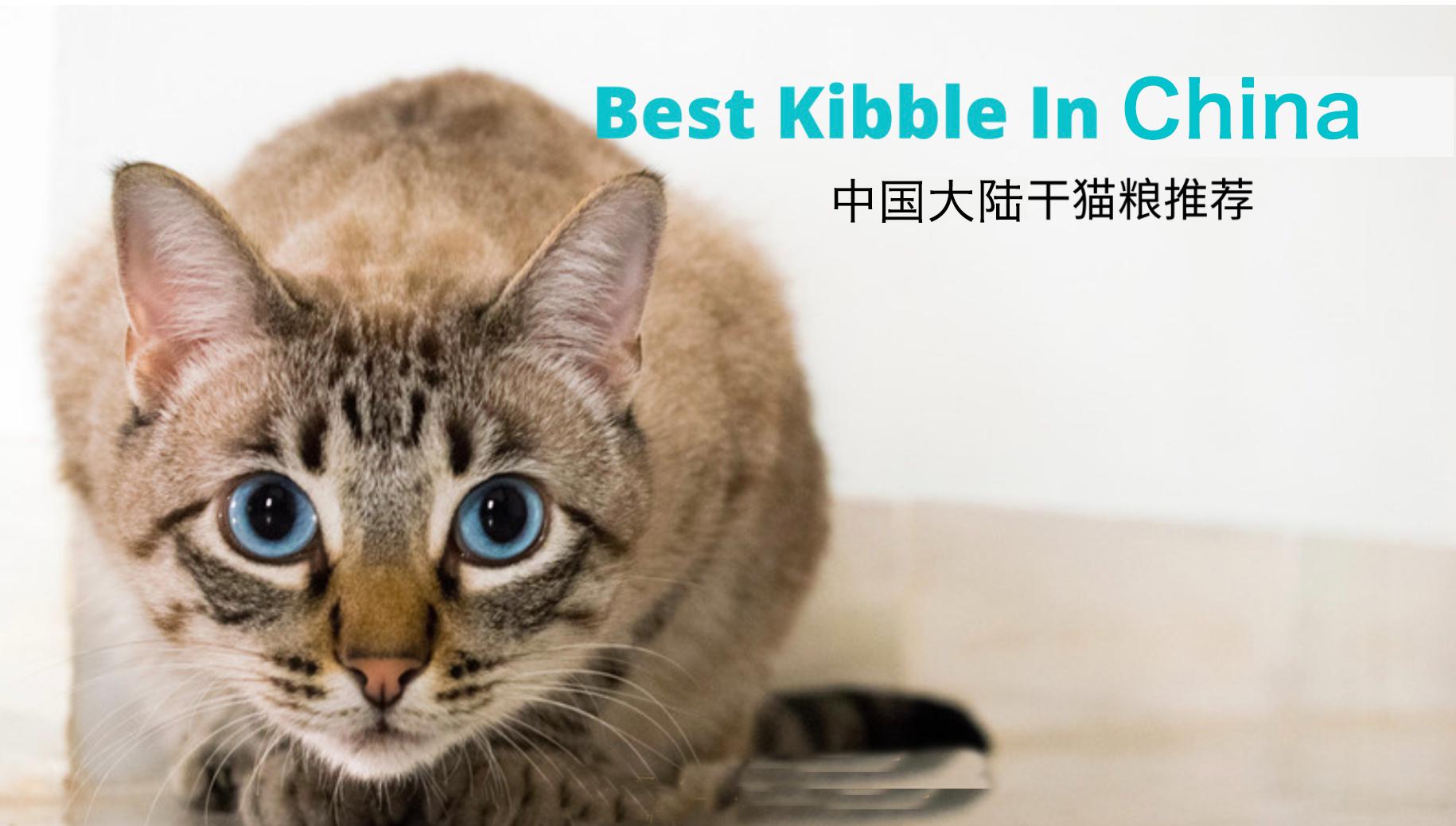 国内猫粮十大品牌排行榜,中国好猫粮推荐