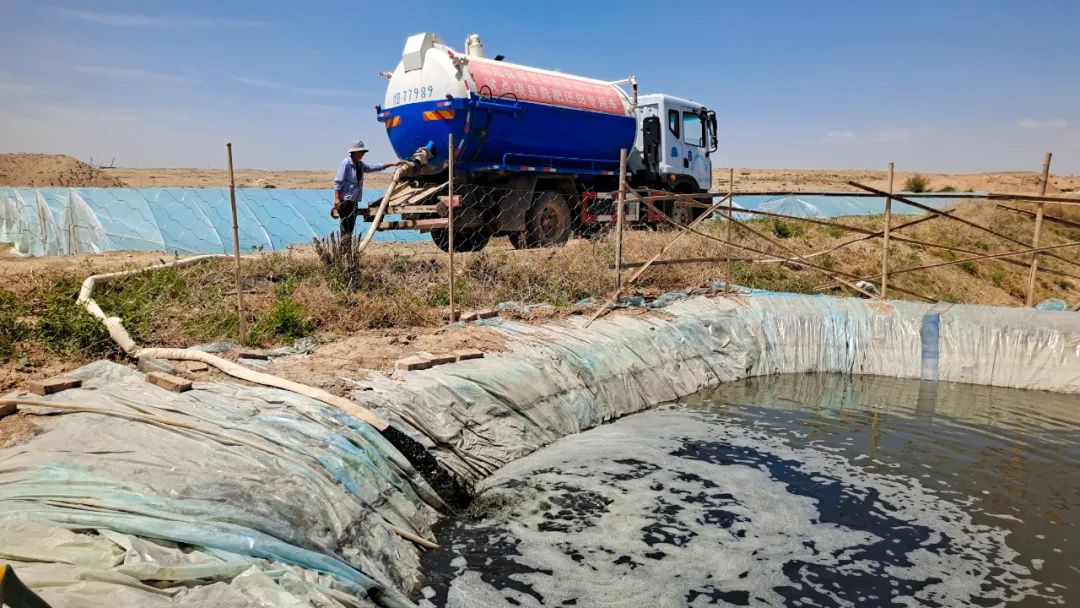 致富带富好*党**员魏家娟:绿色循环种养殖网络销售助增收