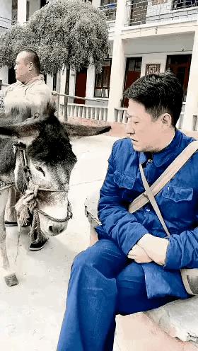 论“大长脸”只服这8位，有人自嘲是“驴脸”，有人一屏装不下