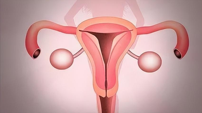 阴道炎是很严重的妇科疾病嘛,阴道炎的八大危害