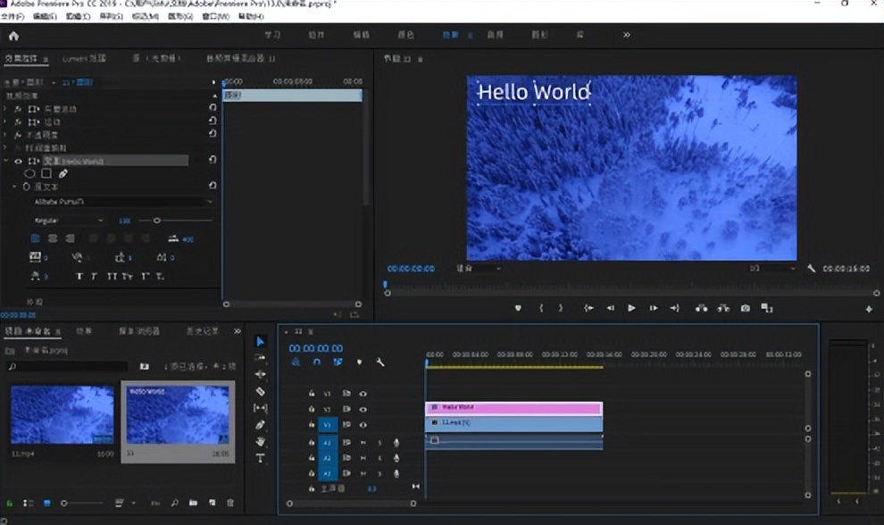 在测试5款水印图像软件时，数码弧和SignMyImage为何能存活下来？