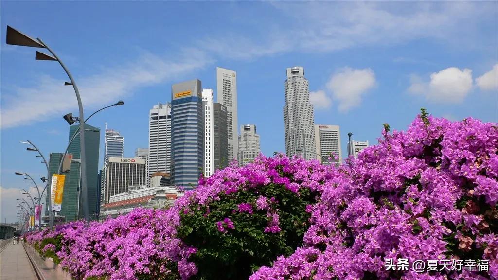 美丽新加坡,美丽的新加坡港口