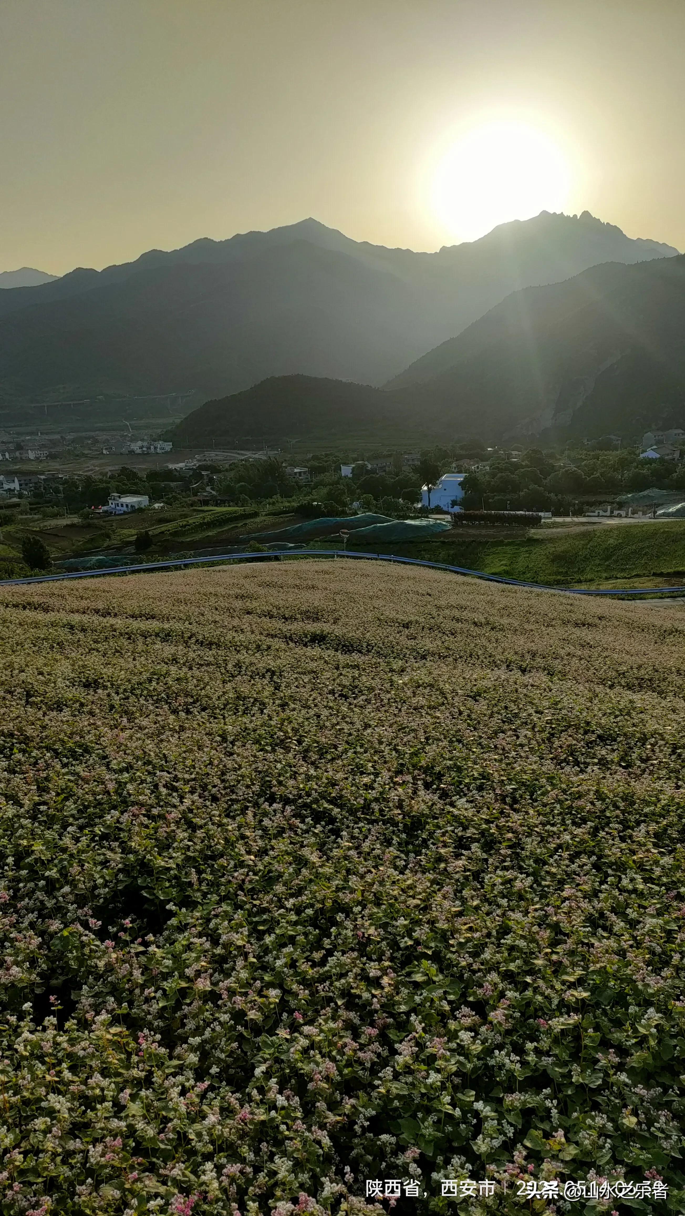 晨游秦岭北麓,蓝田荞麦岭怎么去
