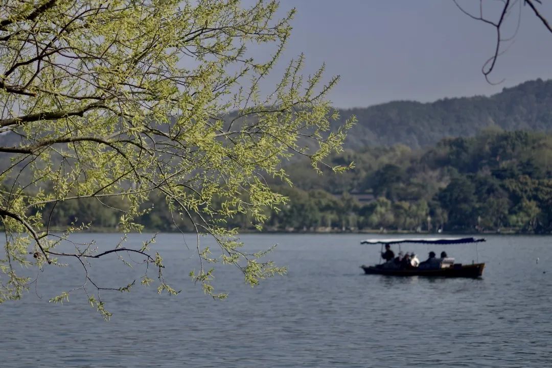 杭州西湖旅游攻略自由行最佳线路,杭州西湖旅行攻略路线图