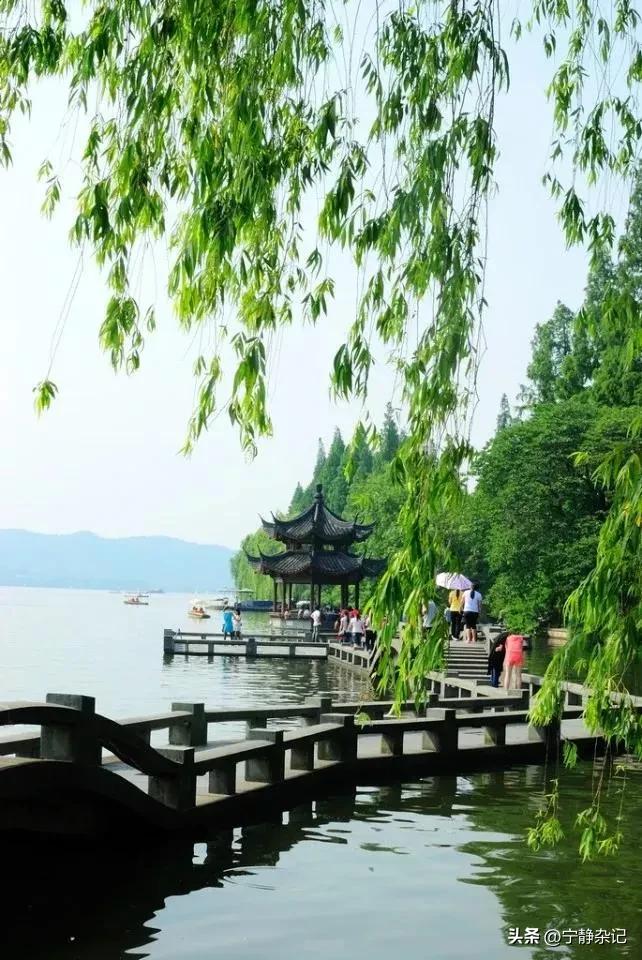 说句心里话，你来*今条头日**做什么？