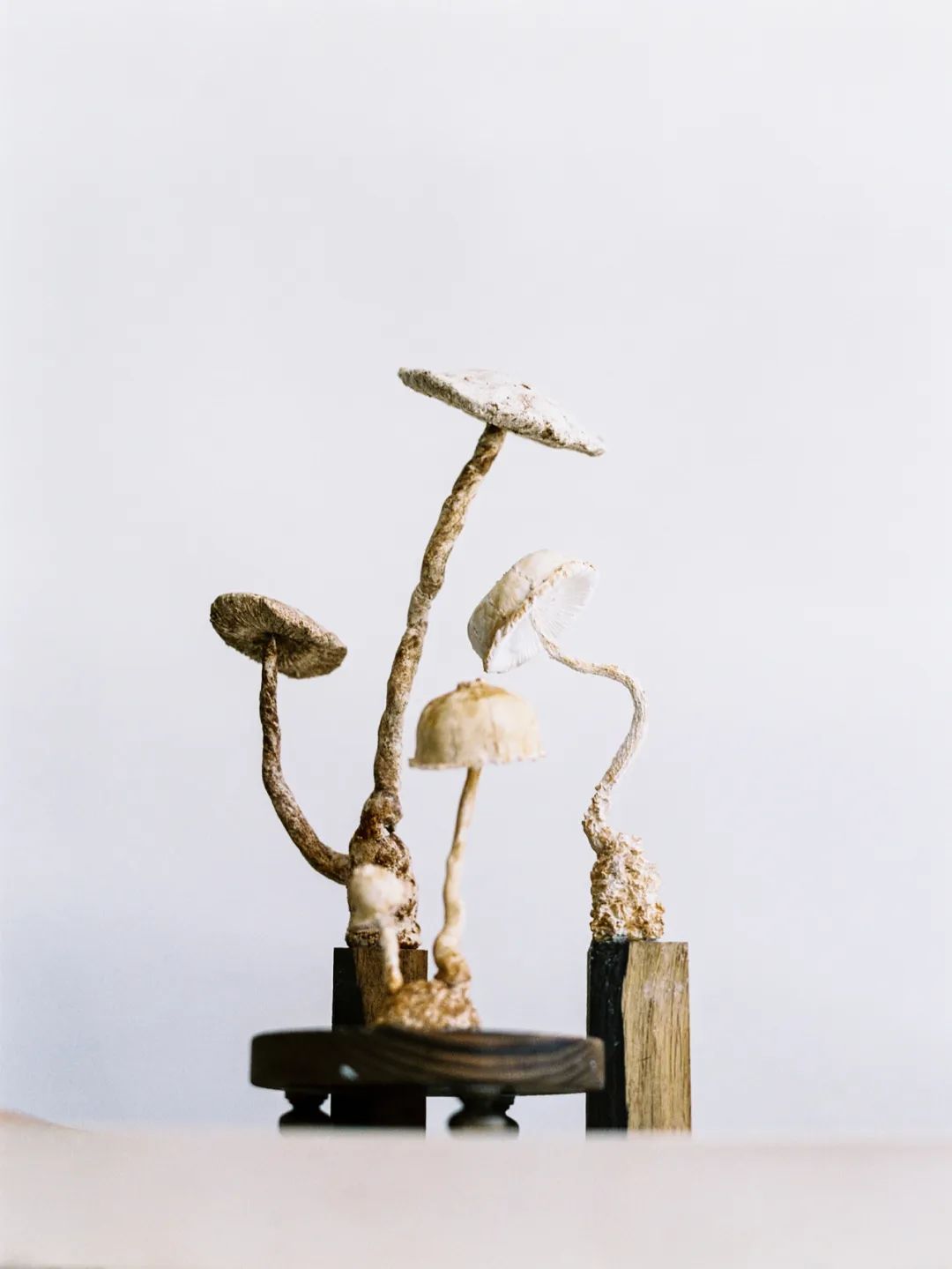 探访100个年轻人的家,居家办公如何克服父母的干扰