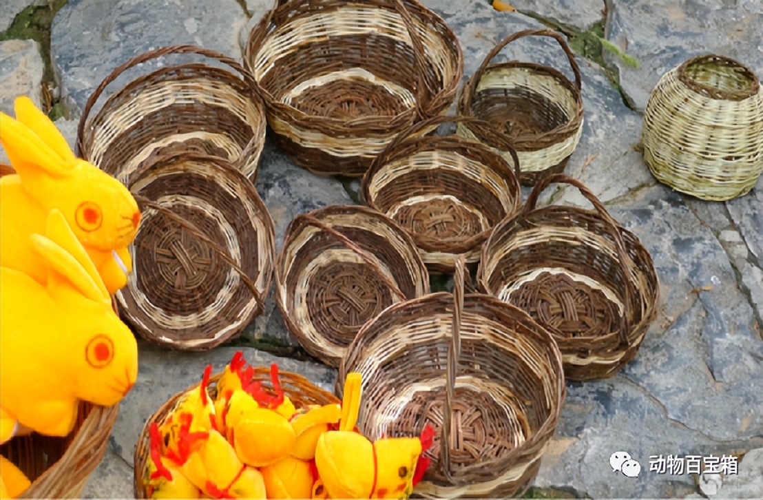 集市上卖的现割牛皮带,集市上现割牛皮带批发