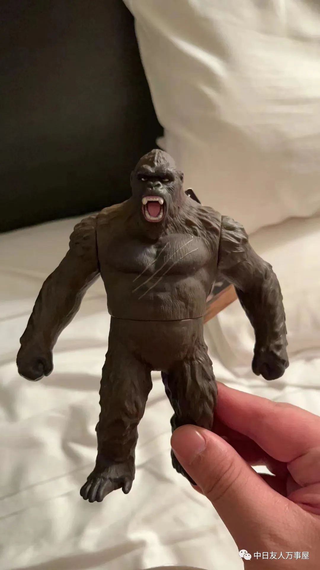 万事屋沙桑阔别三年之久的日本之旅