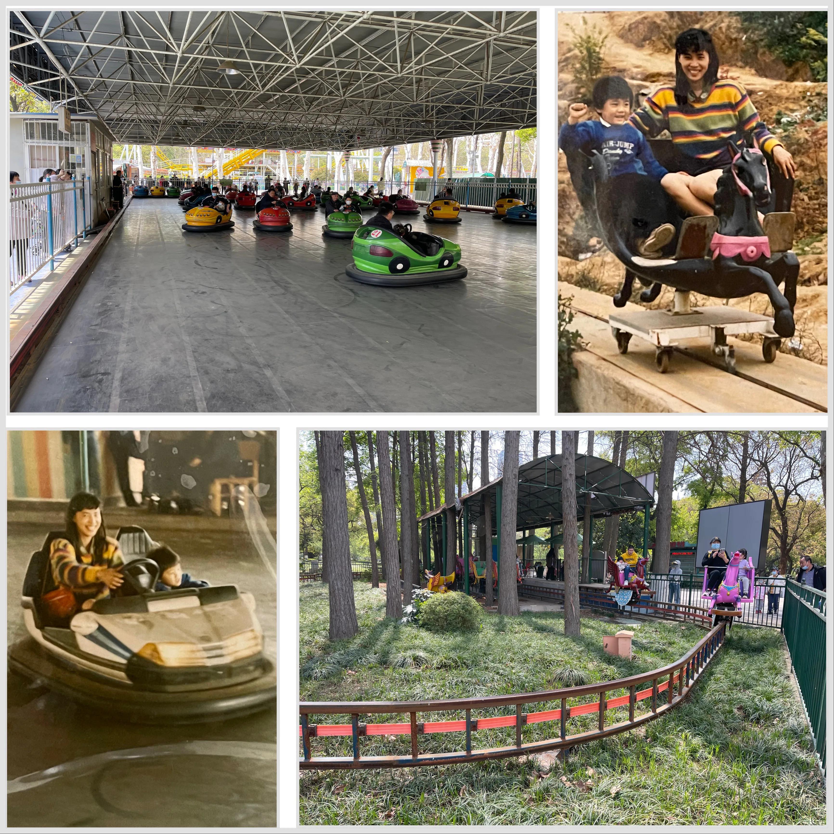 重游奉化中山公园童年记忆,旅游中山公园攻略图文高清