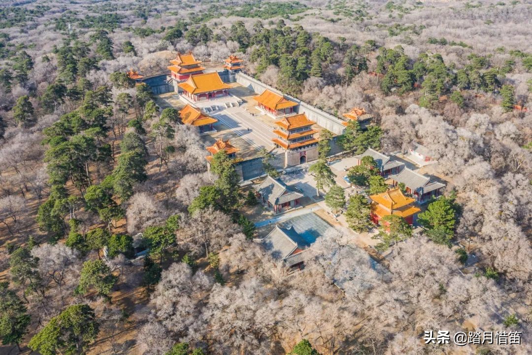 东北沈阳疫情最新通报,东北沈阳疫情