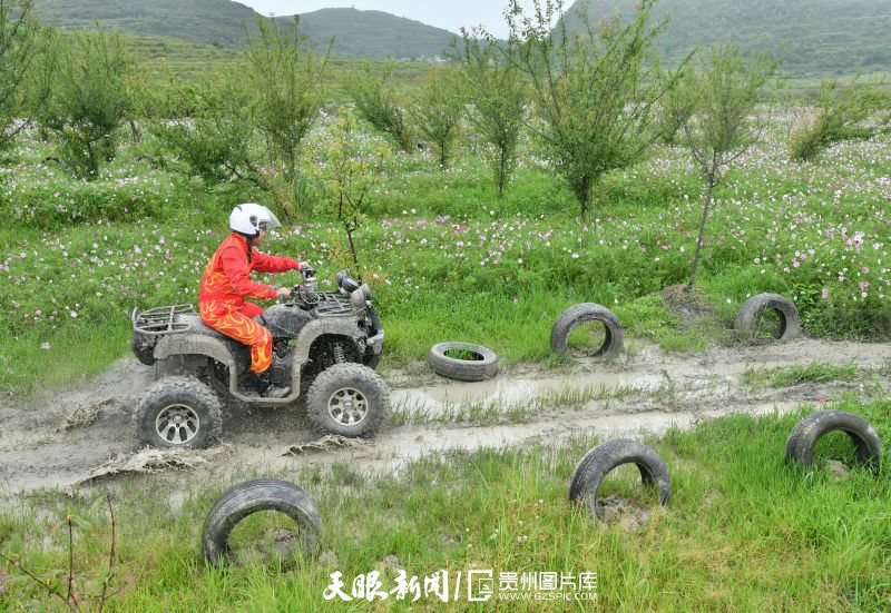 缂ょ悍璐靛窞,澶氬僵璐靛窞鎴峰杩愬姩