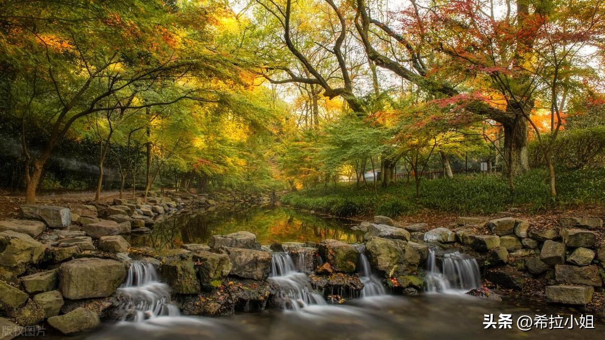 杭州新西湖十景更适合游览哪一景,杭州西湖新十景游玩攻略