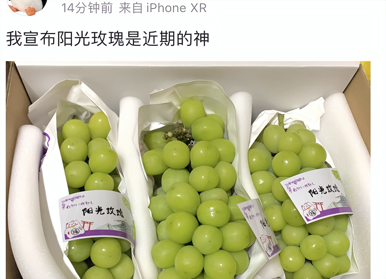 水果中的爱马仕多少钱,高端水果中的爱马仕