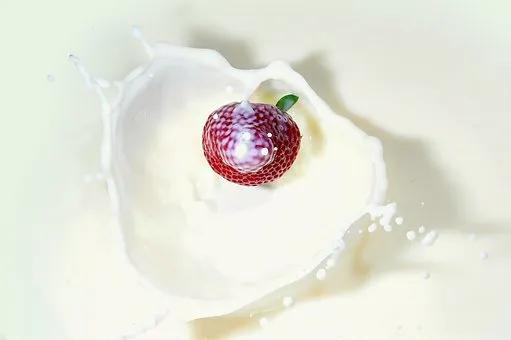 汤臣倍健蛋白粉的特色,推荐一款汤臣倍健蛋白质粉