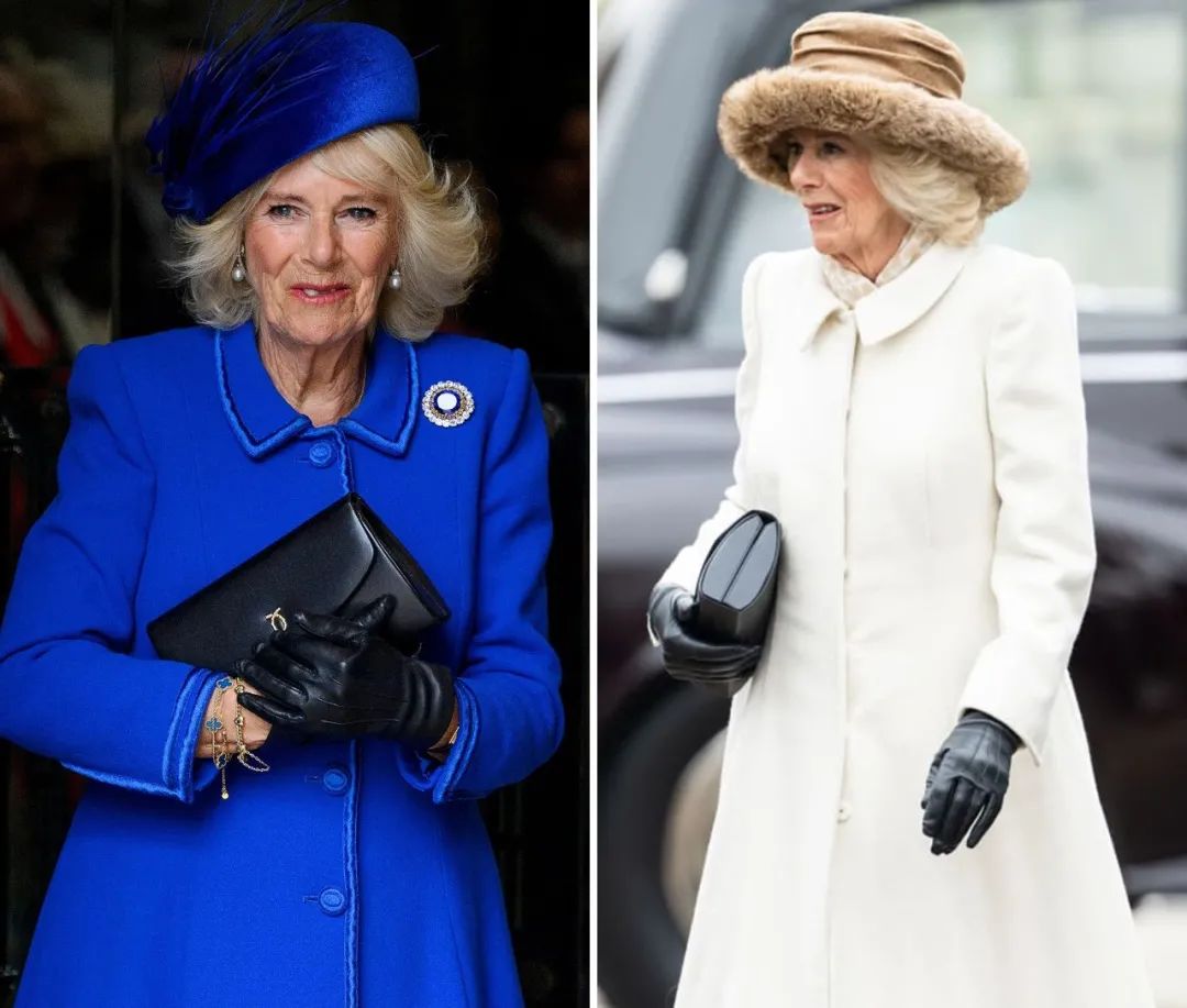 卡米拉出尽风头,卡米拉靠什么被女王认可