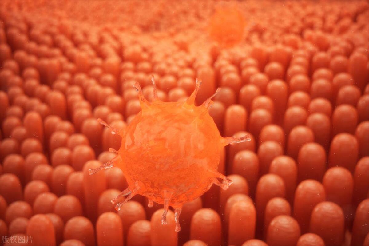 你关注过这些日常用品的卫生吗,日常卫生用品有哪些