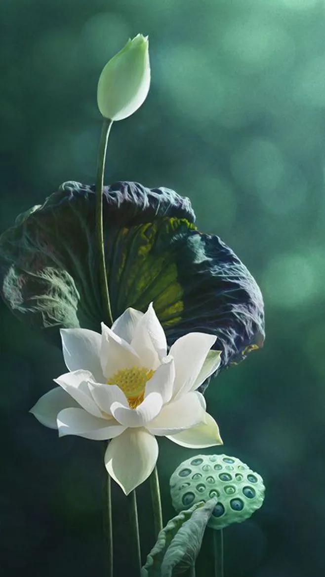 春树的人生格言书籍,人生书籍里的经典语录大全