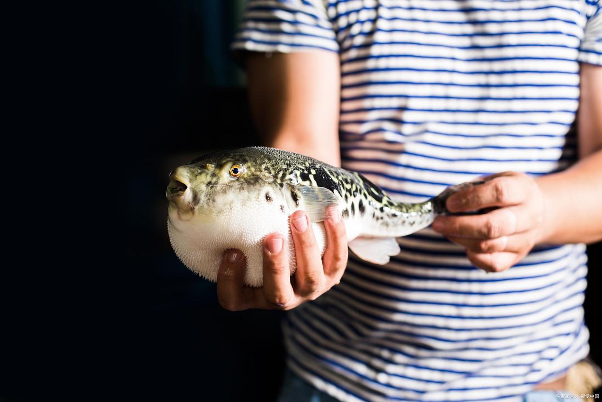 食物中毒为什么舌尖有白泡,舌尖上的安全中毒视频