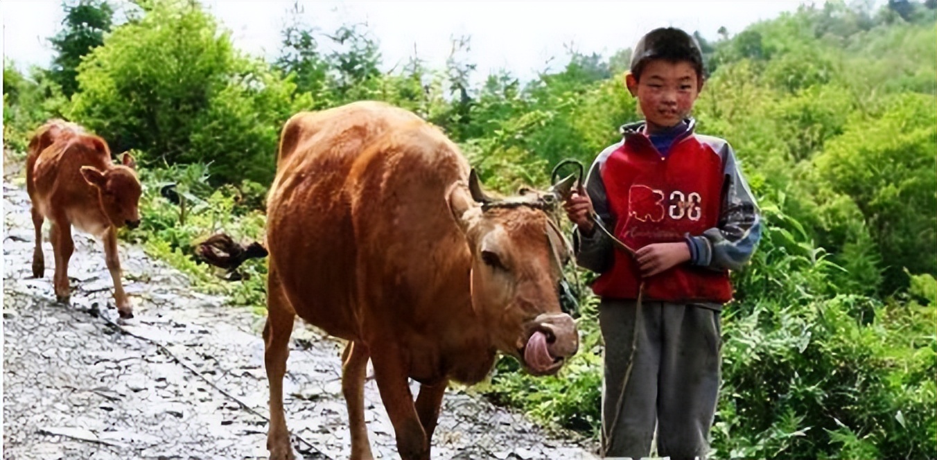 80后篮球回忆,篮球故事故事会