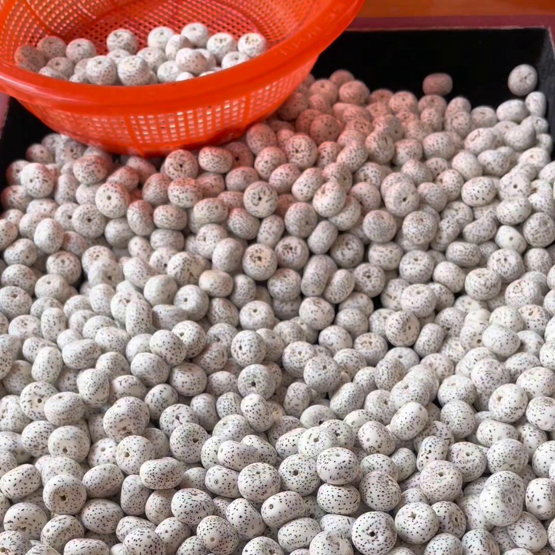 极品星月菩提是如何挑选判断？#极品星月菩提如何挑选判断