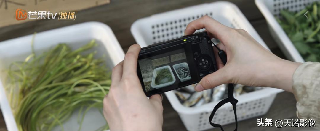 类似理光gr3x相机推荐,理光gr3明星同款