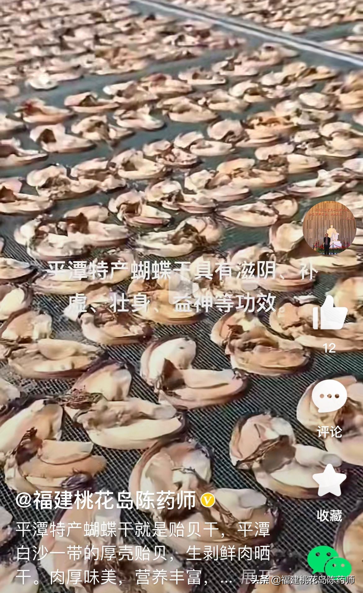 补阴十味中药,补阴第一的中药