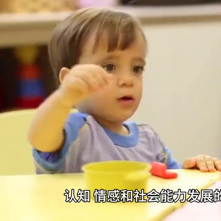 儿童发展阶段与教育方法,各年龄段儿童发展素质