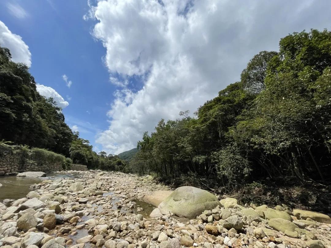 姑婆山仙山真脸观景平台,姑婆山山顶真容