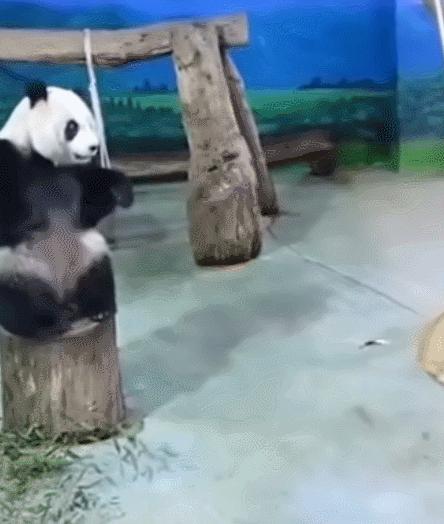 每日一笑，自己拆的家就是有安全感