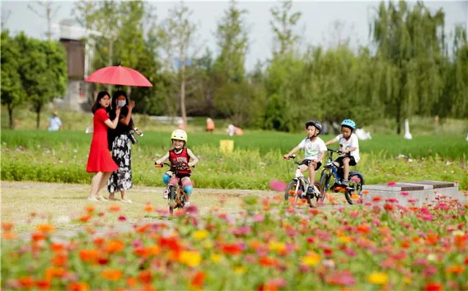 南京塑胶健身步道,10条南京最美步道
