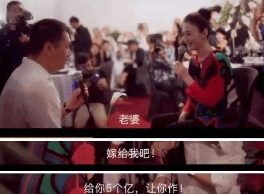 李小冉5个亿,李小冉挣了多少钱了