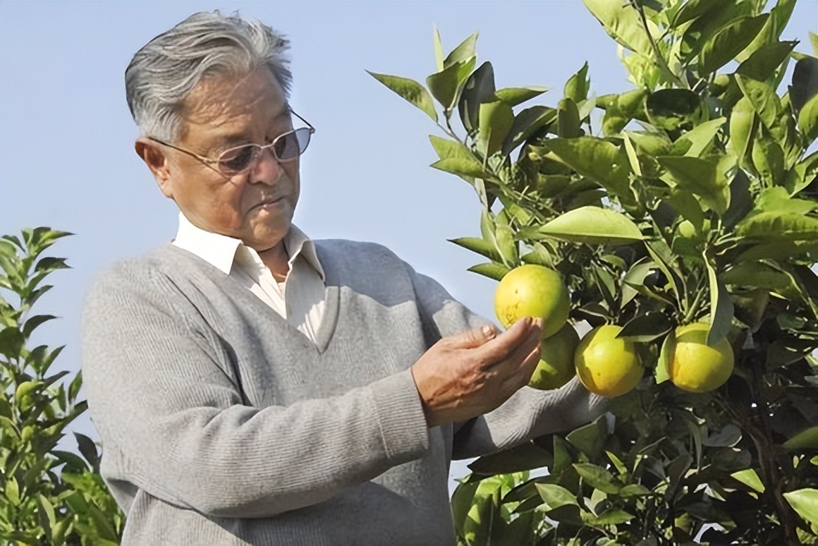 烟草大王褚时健是怎么入狱,烟王褚时健去世了吗