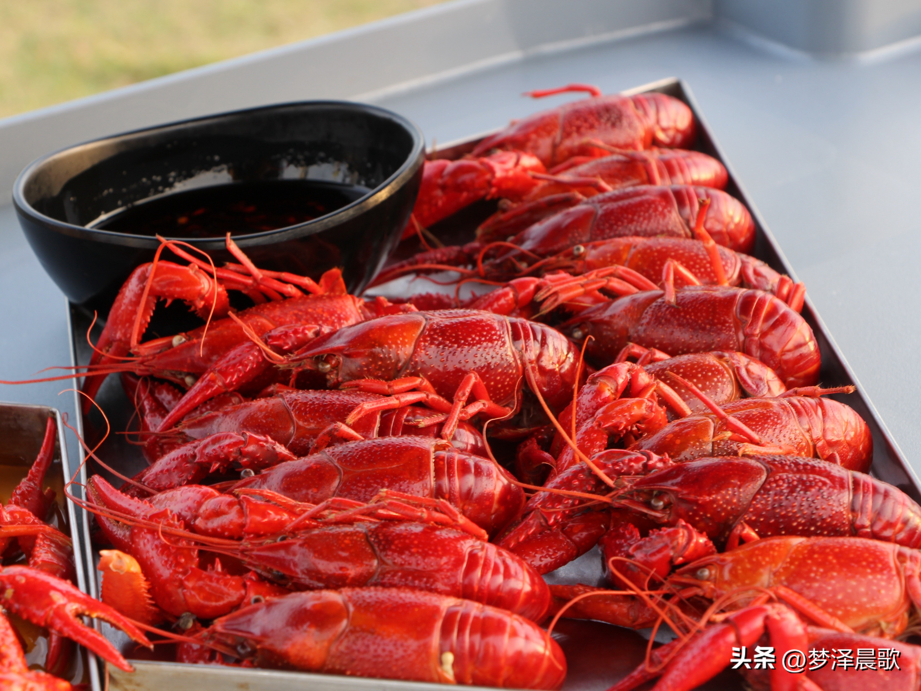节日哪里去？醉美“伍湖四海”游人醉